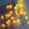 Holiday Lemon Tricolor Series Fruit LED Light String Fresh Air Room Decoration Christmas Day