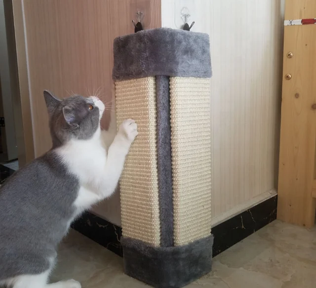 Cat Scratch Furniture Protectors Buy Cat Scratch Deterrent Cat