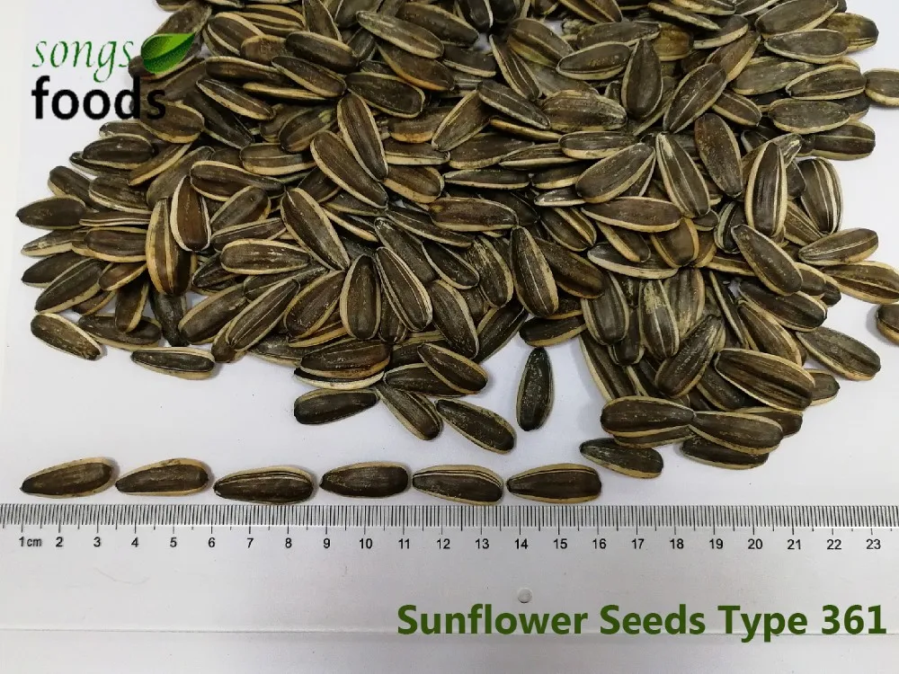 100 Raw Black White Striped Sunflower Seeds With Ton Price Buy Top