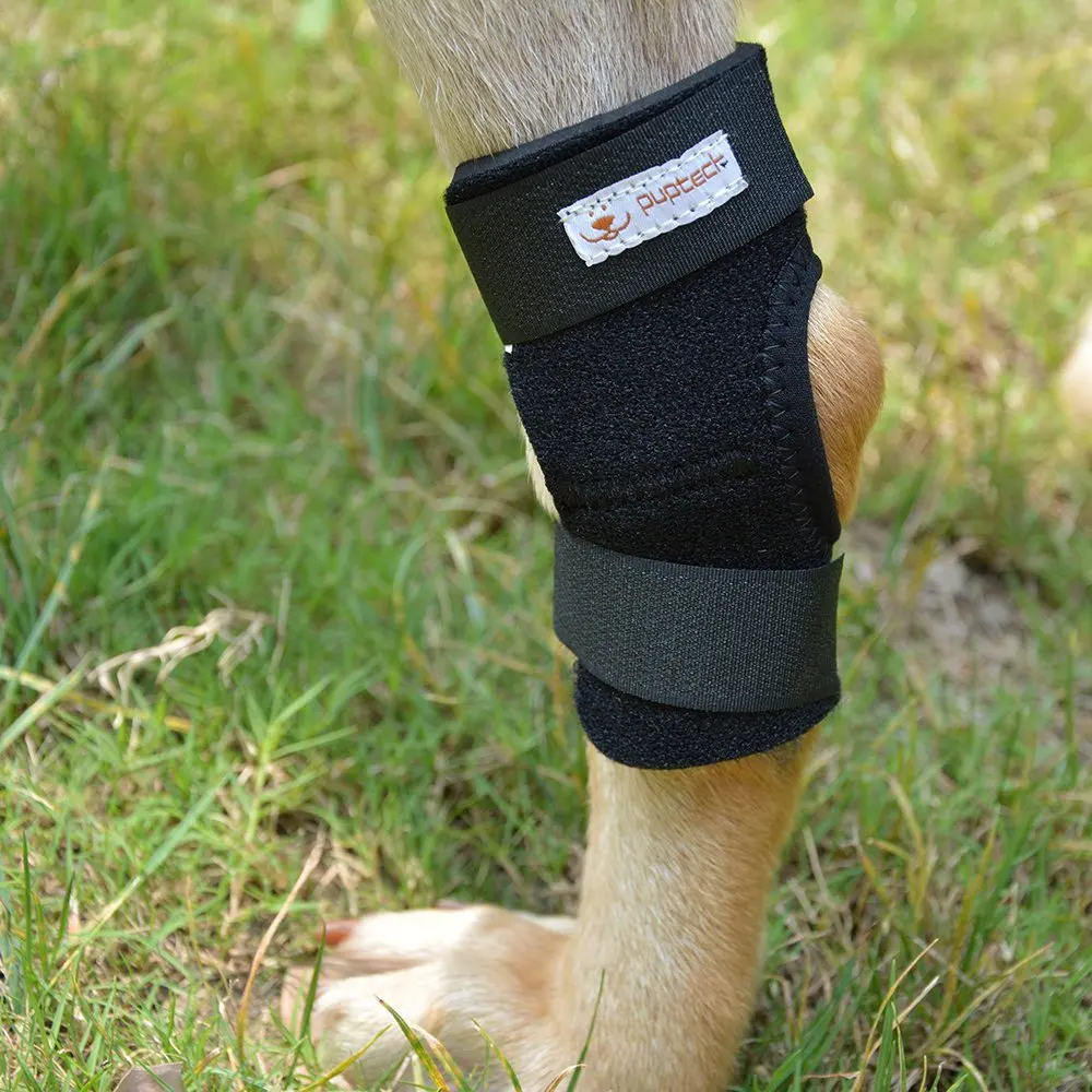 Knee Brace For Dogs Canine Rear Leg Hock Joint Protection