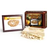 Little Toys For Kids Dinosaur Fossil Photo Frame Dig it Out Kit, 6 assorted