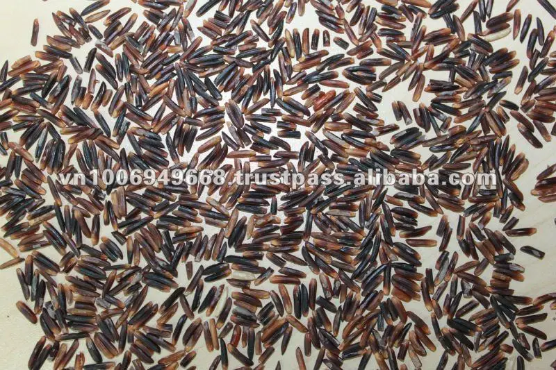 Purple super Long organic rice.JPG