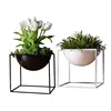 Sphere Shape Flower/Plant Pots Mid Century Plant Stand