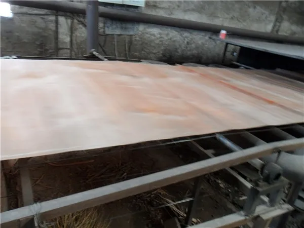 chinese low price natural gurjan veneer ,PLB veneer, for india market