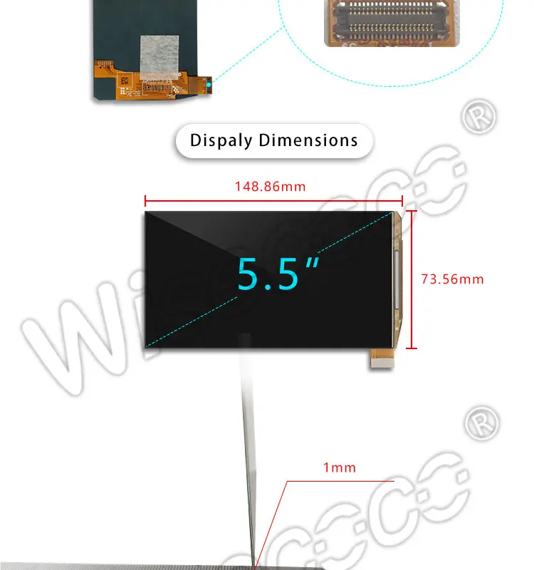 5.5 inch oled display 