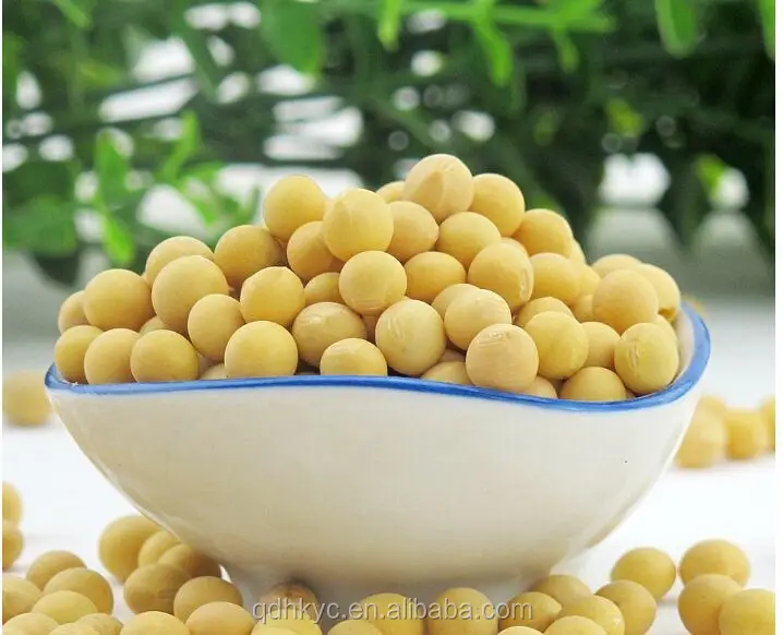 соэ у женщин. соэ 20 у женщины в крови. соя 20. соя сорт аляска. соя 20.