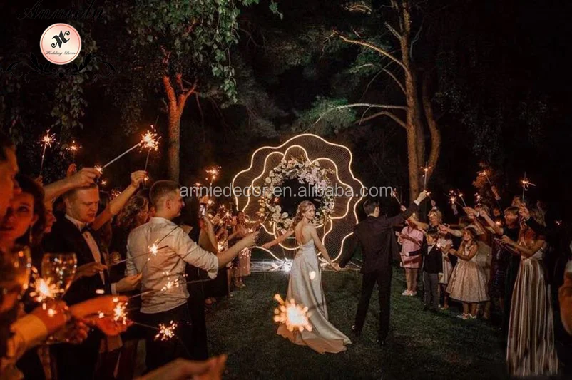 Wedding Party Decoration Backdrop, Newly-design LED Light Rose Shaped Iron Backdrop