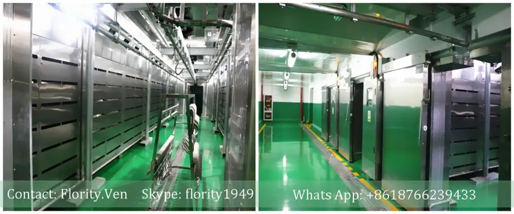 Chicken thawing chamber for defrosting machine frozen meat microwave thawing machine equipment