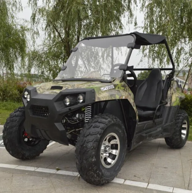 utv dune buggy