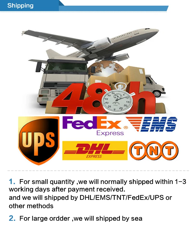 Brand Sport Shoes.jpg