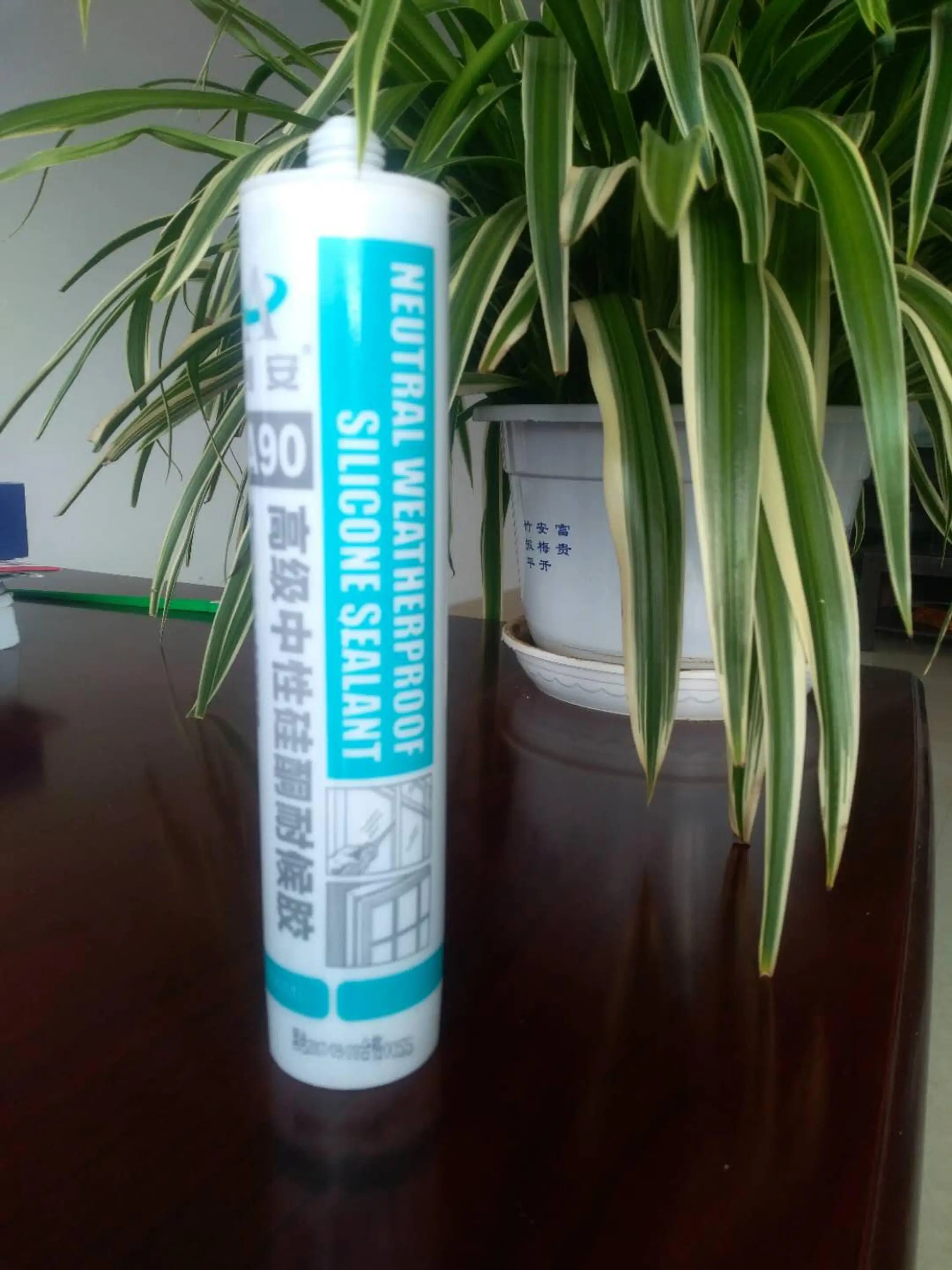 silicone sealant
