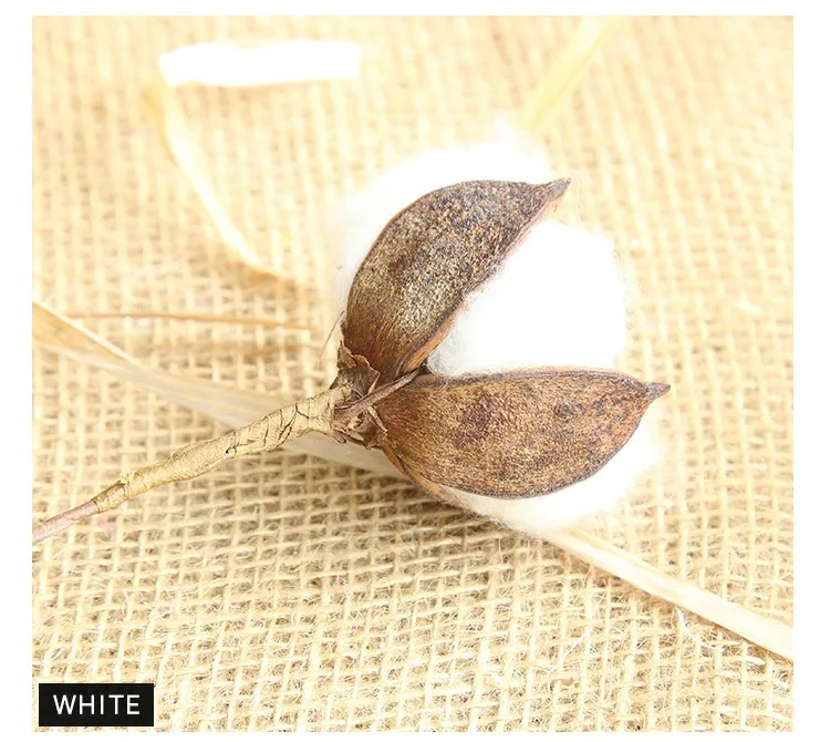 branch natural single cotton stem for wedding party home office