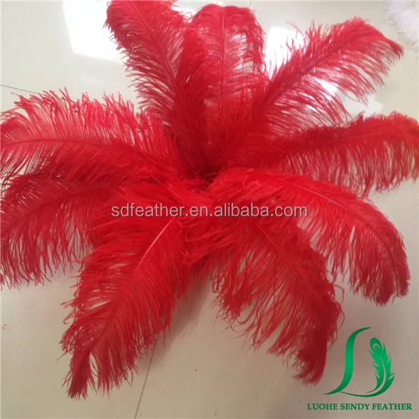 large red ostrich feathers