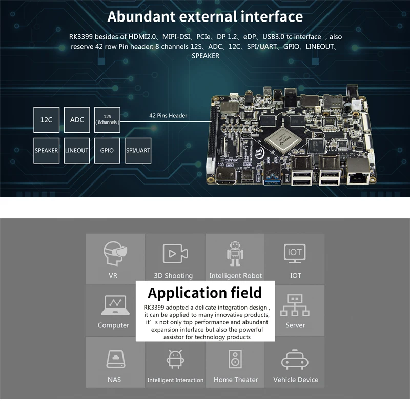 RK3399 D-BOARD A2