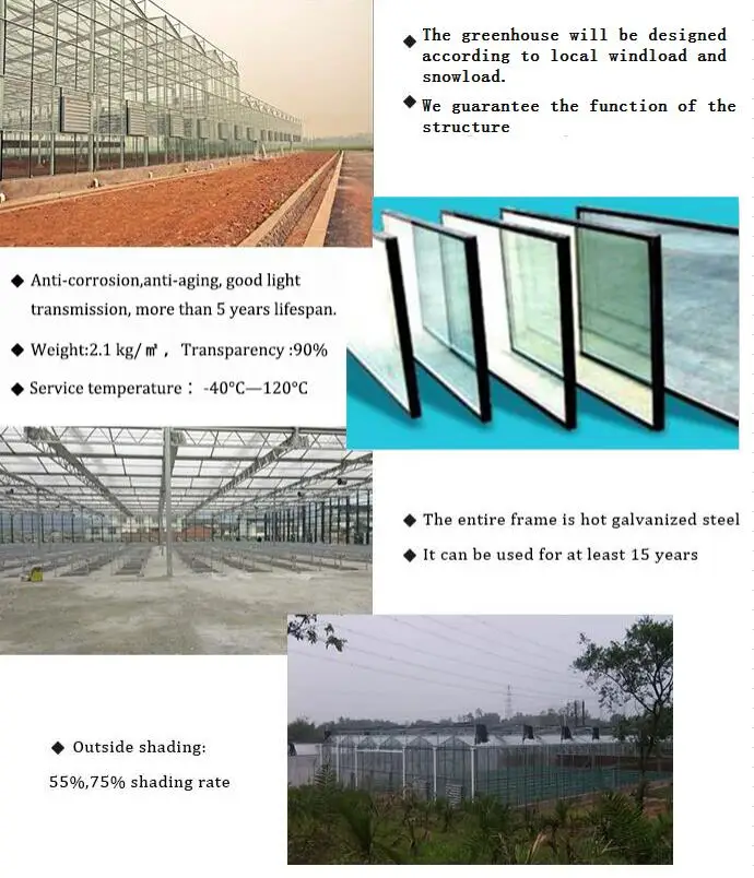 Tinted Float Glass Greenhouse