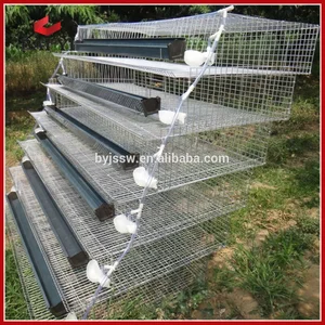 Quail Cages Products For Sale Ebay