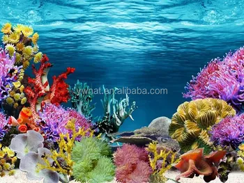 Download 57+ Background Ocean Aquarium Terbaik