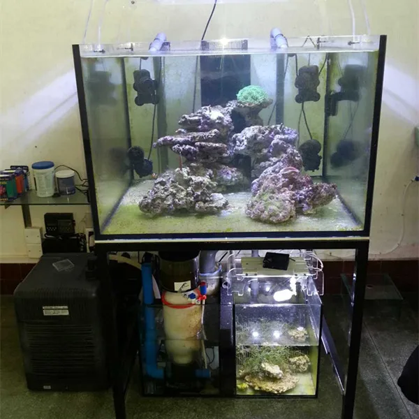 glass fish tanks