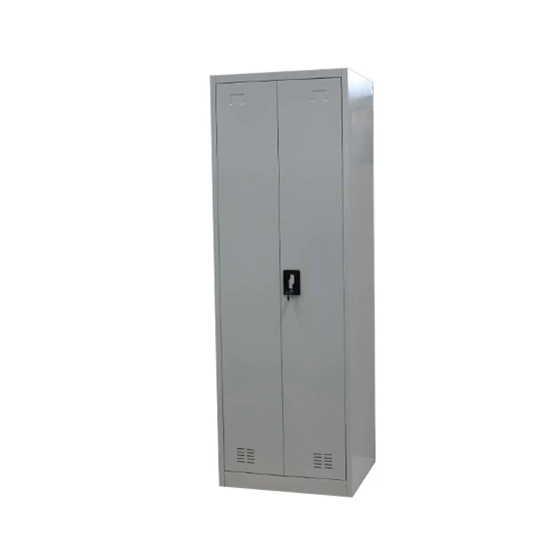 Luoyang Factory Steel Material 2 Door Key Locker Tall Narrow