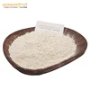 New crop good quality ad dried horseradish powder 80-100 100-120 mesh
