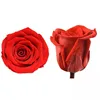 Grade AAA Timeless Forever Roses Flower Heads 3-4 cm From Yunnan Kunming Manufacturer