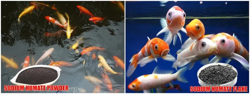 Fish Manure Fertilizer.jpg