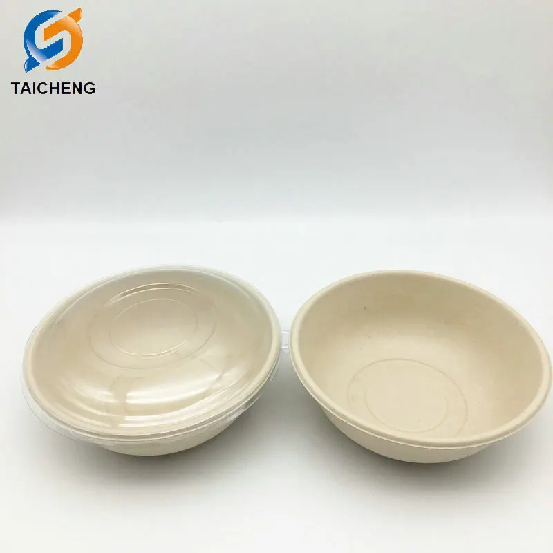 sugarcane bagasse  (1).jpg