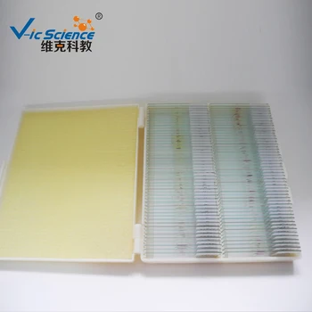 Hot Sale Medical Parasitology Microscope Prepared Slides - Buy Microscope Prepared Slides,Medical Pathology Slides,Prepared Slides Product on
