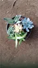 garden/outdoor /lawn plaster pots/flower pot/meaty plant pot/plaster and cement flower pot