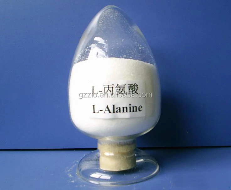 methyl-beta-alanine