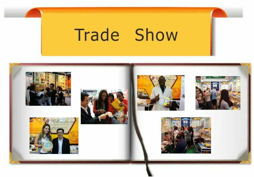 trade show
