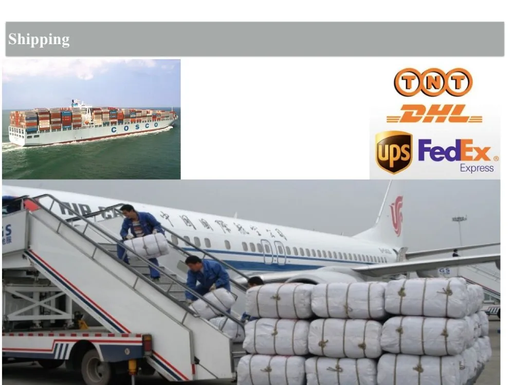 shipping