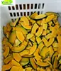 IQF Frozen Pumpkin Slices New Harvested In China