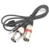 3.5 mm Stereo 1/8" plug to Dual Male XLR Splitter Patch Cable