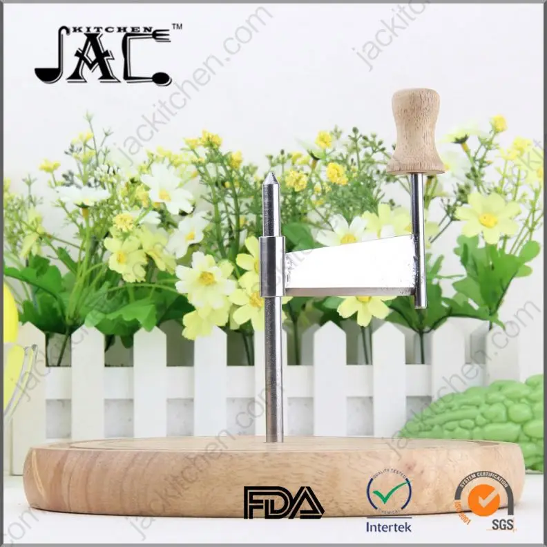 Fashonable New Stainless Steel Carrot Grater