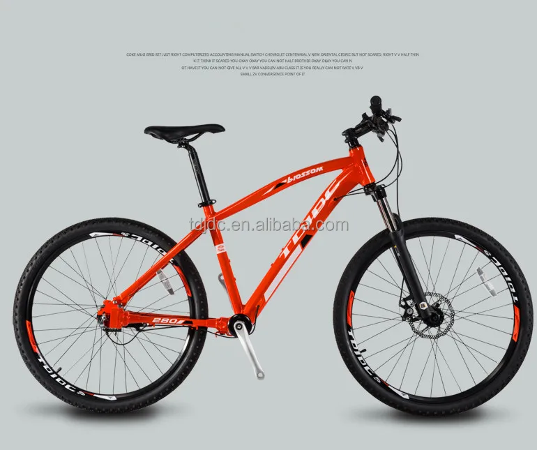 chainless mountain bike