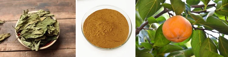 Iso Certified Manufacturer Pure Organic Persimmon Leaf Extract Powder ...