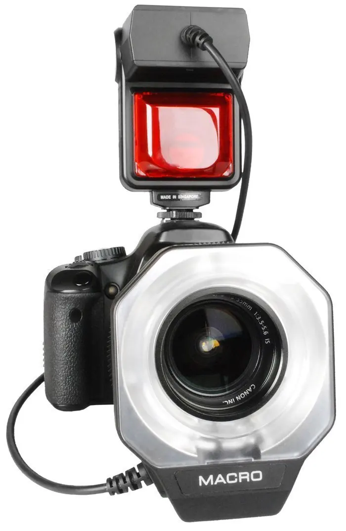 Pro macro. Pro macro