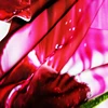 100% polyester high quality 3D printed textile fabric with big flower for bedsheet