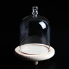 Table Centerpiece Generic Bell Jar Dome W/Wooden Cork Base Home Study Room Decor
