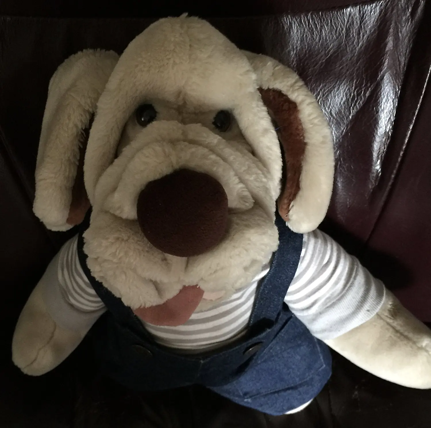 wrinkles stuffed dog