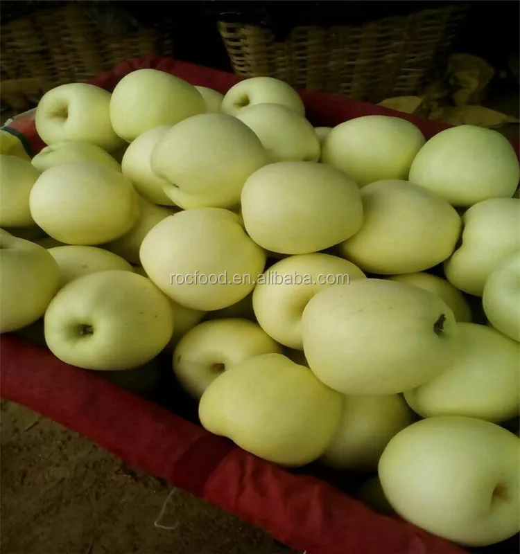 Bagged Jiguan apple