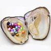 Wholesale 2018 New Freshwater Oval Pearl Oyster, Pearl 6-8mm21 Mixed Color In Oyster Freshwater Breeding (Free Shipping)