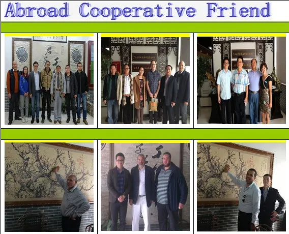 abroad cooperation