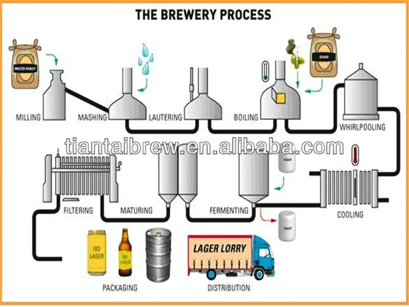 General Flow Chart of Beer Brewing