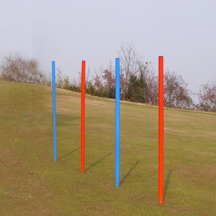 SAD2037 weave poles.jpg