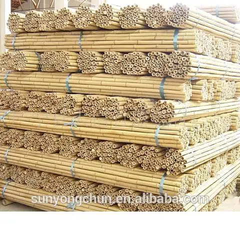 Eco cheap large poles tonkin strong stick garden 300 bamboo wall slat fencing screening garden outdoor