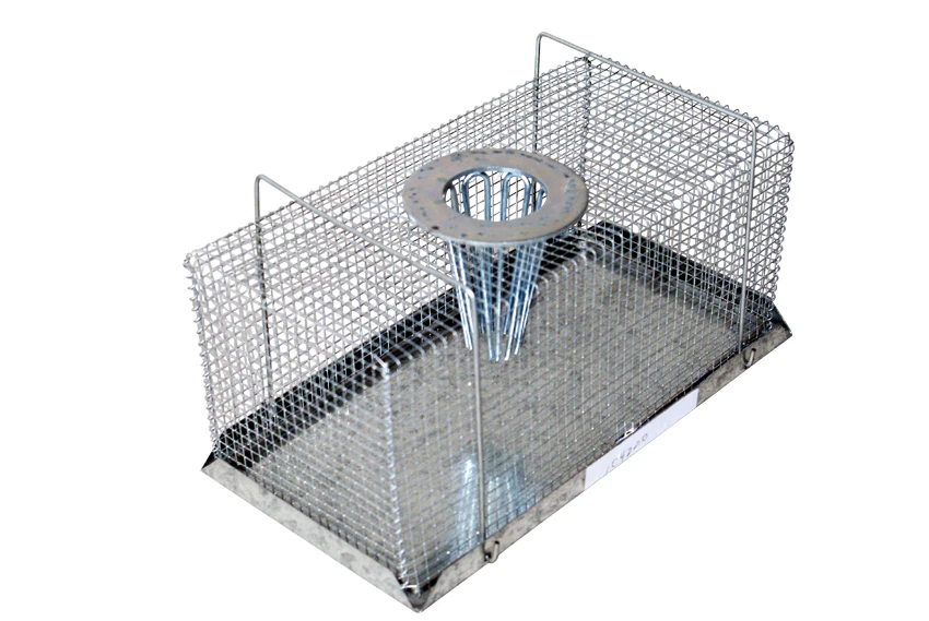 3 Years Quality Guarantee Welded Wire Most Effective Rat Traps Buy