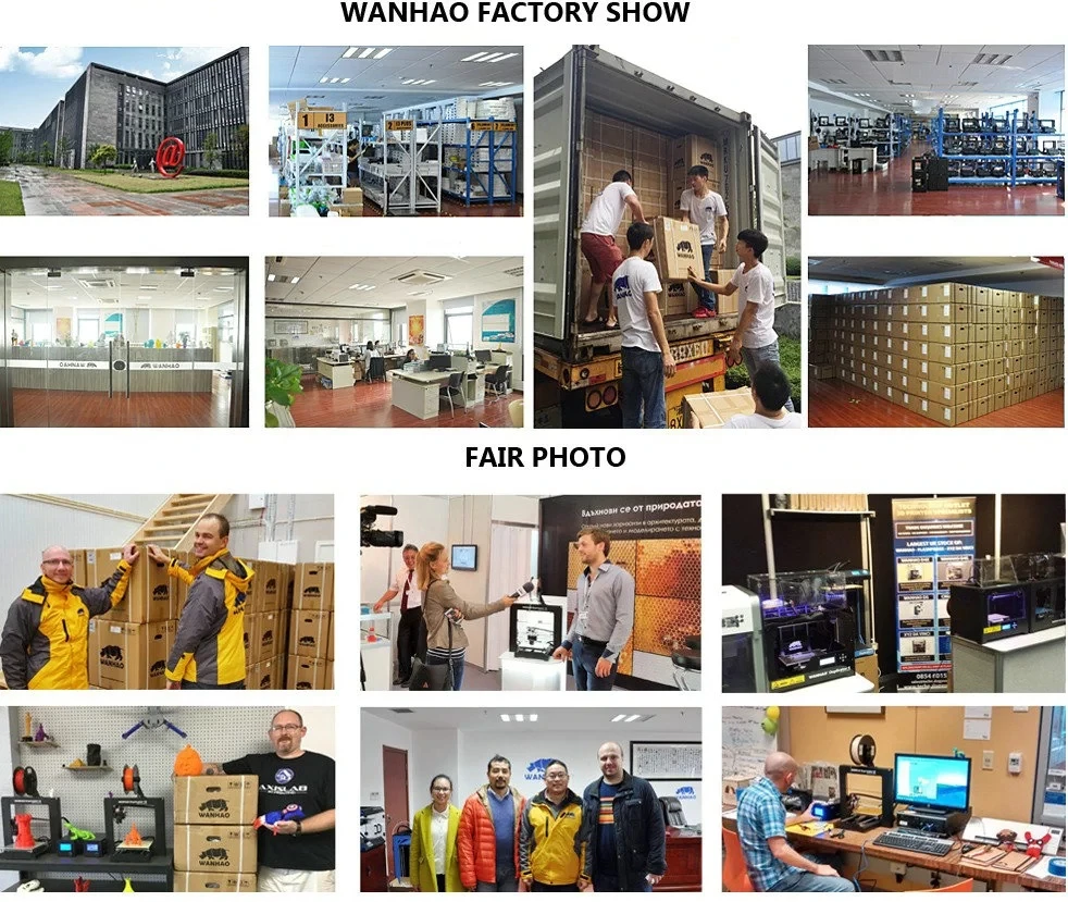 2018 New 400*400*400mm Big Size D9 WANHAO factory desktop 3D printer , Wanhao Duplicator 9 MKI FDM / FFF large format 3D printer