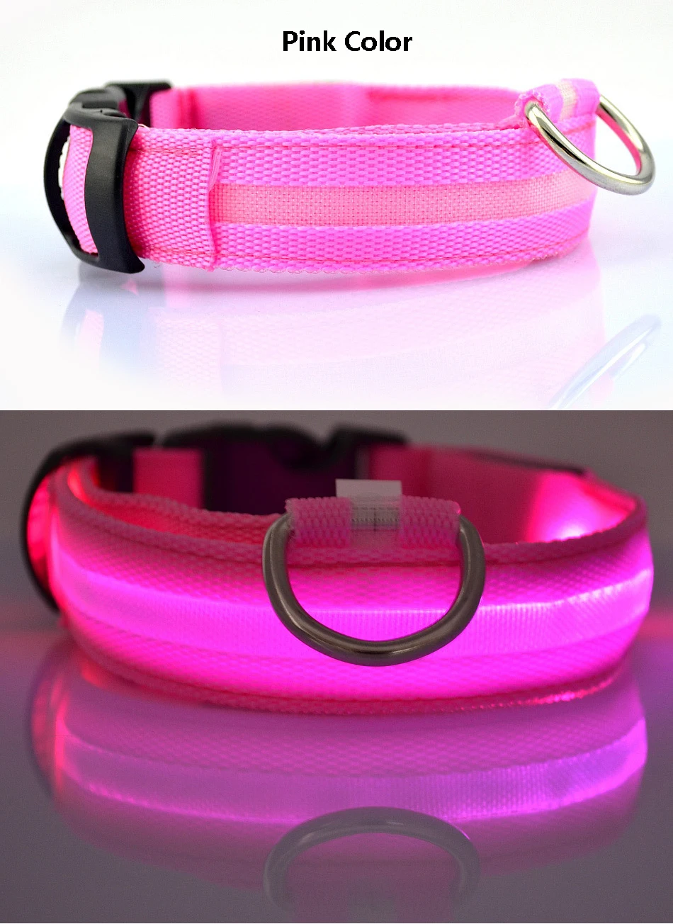 Amazon Usb Rechargeable Led Dog Collar Cat Pet Multicolor Light Up Dog